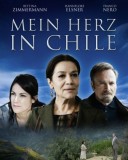 herz in chile